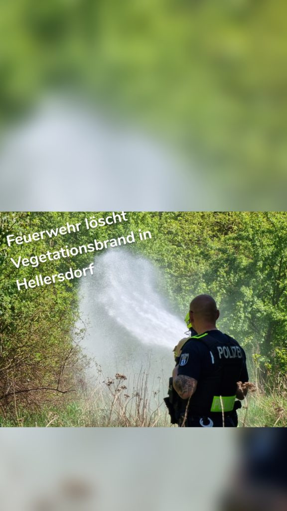 Feuerwehr löscht Vegetationsbrand in Hellersdorf